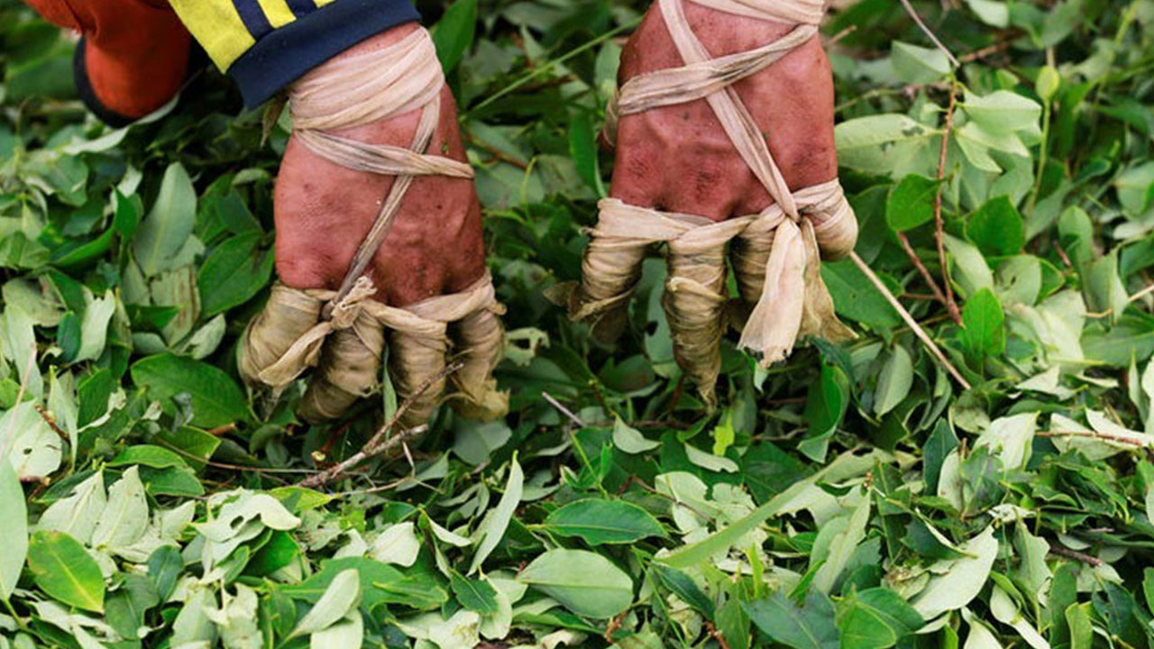Foto - Türkiye'den TB3 SİHA almaya hazırlanıyorlardı! Şok açıklama geldi: Uçağıma roket atacaklar