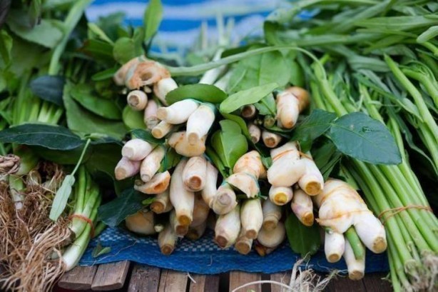 Foto - Türkiye'den tüm dünyaya yayıldı: İbn-i Sina yüzyıllar önce onu önerdi! Beyinde ve damardaki tıkanıklığı geçiren tek besin