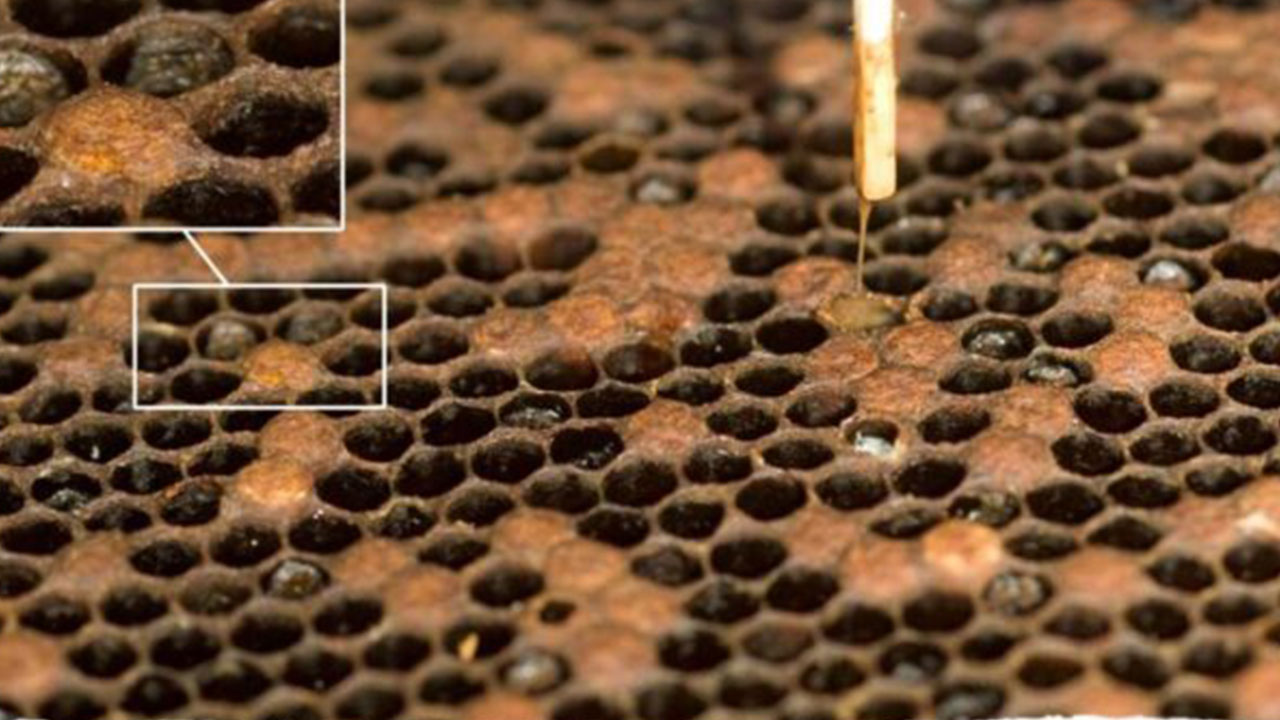 Foto - Türkiye'den uçak yakıtı için çığır açacak keşif! Dünya Ankara'nın peşine düşecek