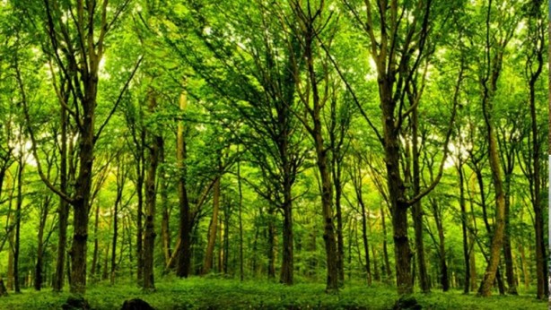 Foto - Türkiye'nin 400 milyon dolarlık planı: Dik, yeniden dik ve tekrar dik