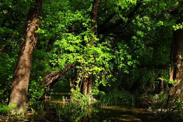 Foto - Türkiye'nin 400 milyon dolarlık planı: Dik, yeniden dik ve tekrar dik