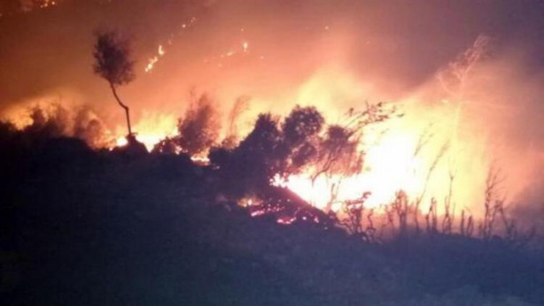 Foto - Türkiye'nin 400 milyon dolarlık planı: Dik, yeniden dik ve tekrar dik