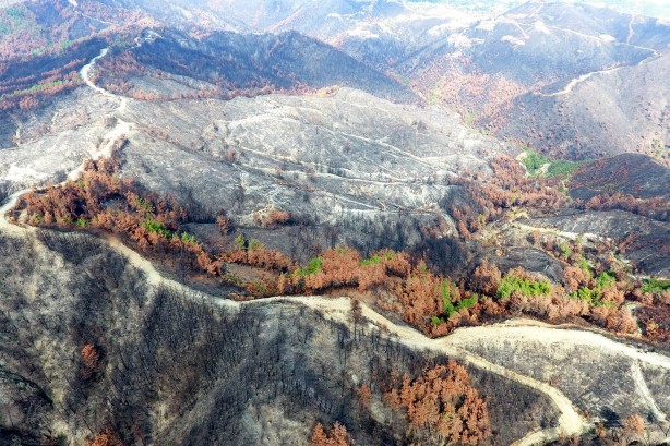 Foto - Türkiye'nin 400 milyon dolarlık planı: Dik, yeniden dik ve tekrar dik