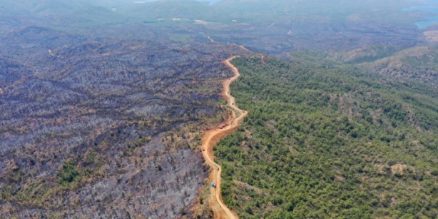 Foto - Türkiye'nin 400 milyon dolarlık planı: Dik, yeniden dik ve tekrar dik