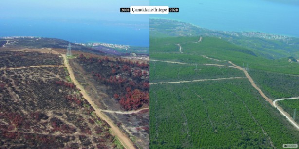 Foto - Türkiye'nin 400 milyon dolarlık planı: Dik, yeniden dik ve tekrar dik