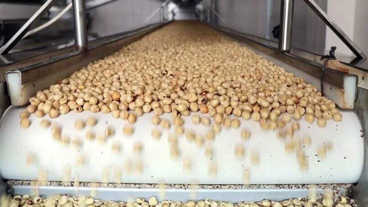Foto - Türkiye'nin 9 aylık fındık ihracatı 2 milyar dolara ulaştı