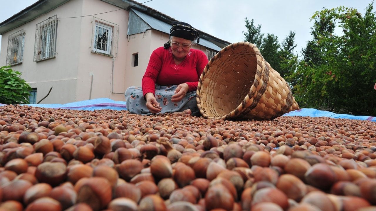Foto - Türkiye'nin 9 aylık fındık ihracatı 2 milyar dolara ulaştı