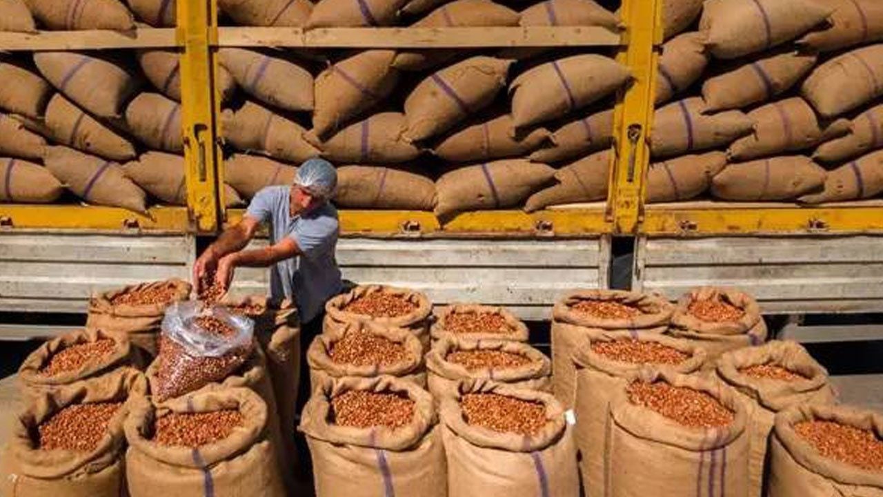 Foto - Türkiye'nin 9 aylık fındık ihracatı 2 milyar dolara ulaştı