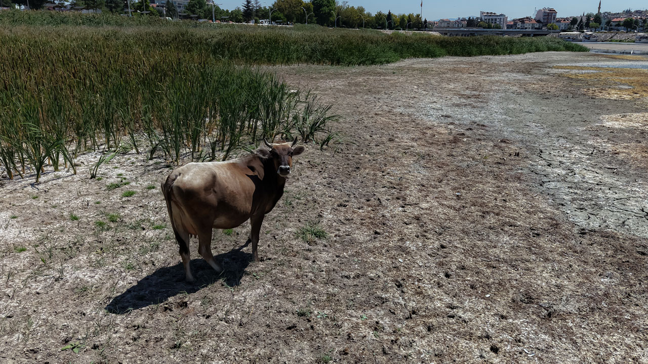 Foto - Türkiye’nin başı sağ olsun! O göl artık vefat etti