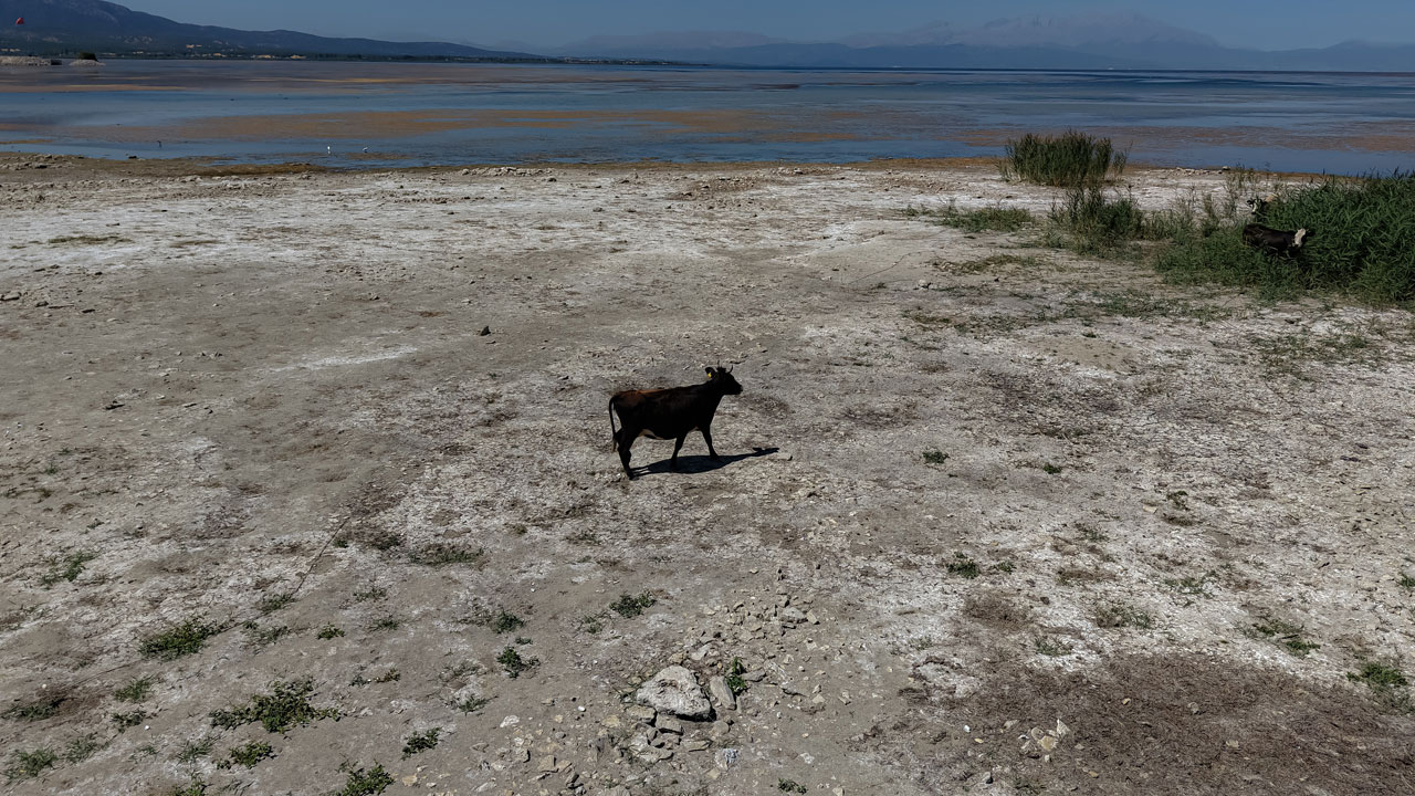 Foto - Türkiye’nin başı sağ olsun! O göl artık vefat etti