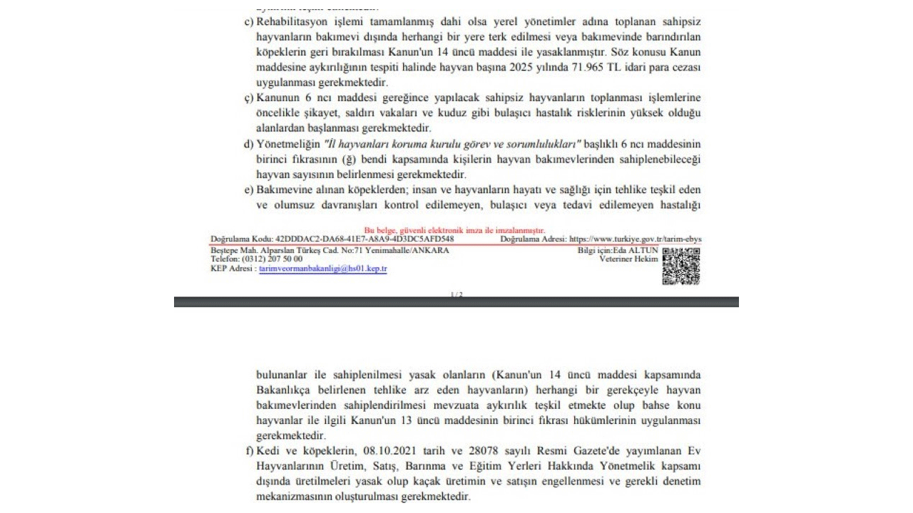 Foto - Türkiye'nin başına bela olmuşlardı: 81 ile yazı gönderdiler!