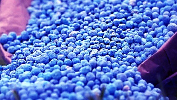 Türkiye'nin başına resmen talih kuşu kondu! Keşfedilen Karadeniz gazından üretilecek