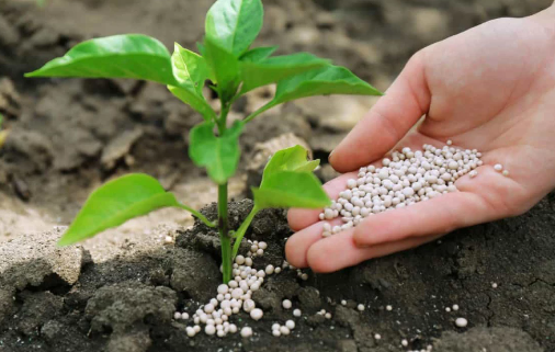 Foto - Türkiye'nin başına resmen talih kuşu kondu! Keşfedilen Karadeniz gazından üretilecek