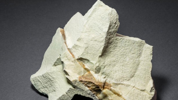 Foto - Türkiye'nin başına talih kuşu kondu! Milyonlarca tonluk rezerv