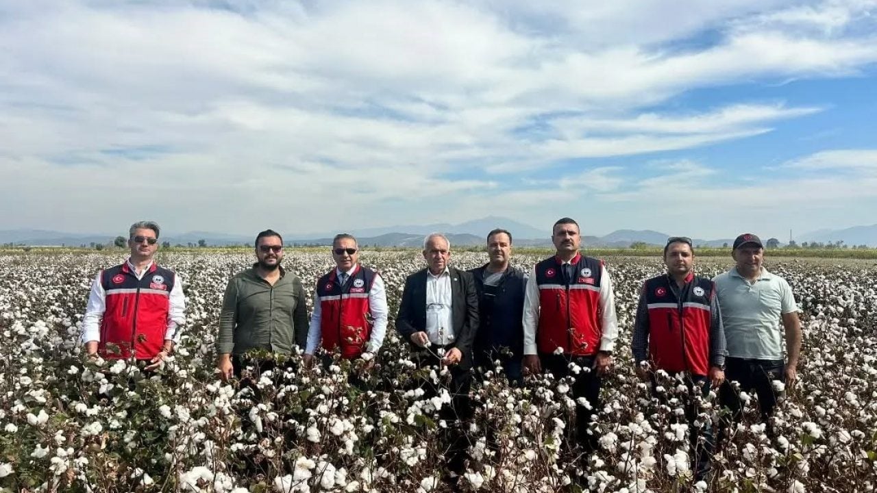 Foto - Türkiye’nin ‘beyaz altını’ tarladan çıkıyor! Bu ilçe tek başına üretimde zirvede