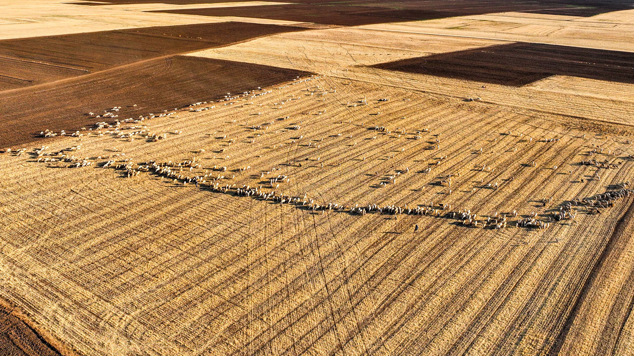 Foto - Türkiye’nin beyaz ve pembe harikası! Tuz Gölü’nde görsel şölen başladı