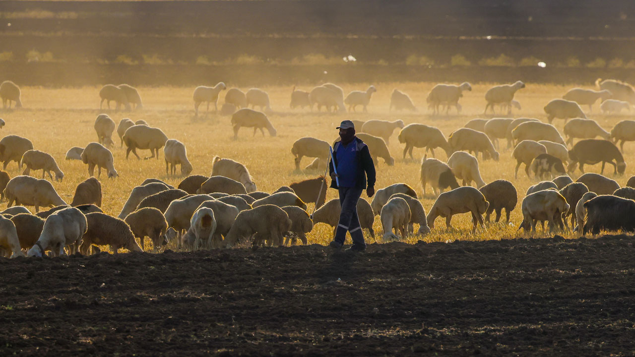 Foto - Türkiye’nin beyaz ve pembe harikası! Tuz Gölü’nde görsel şölen başladı