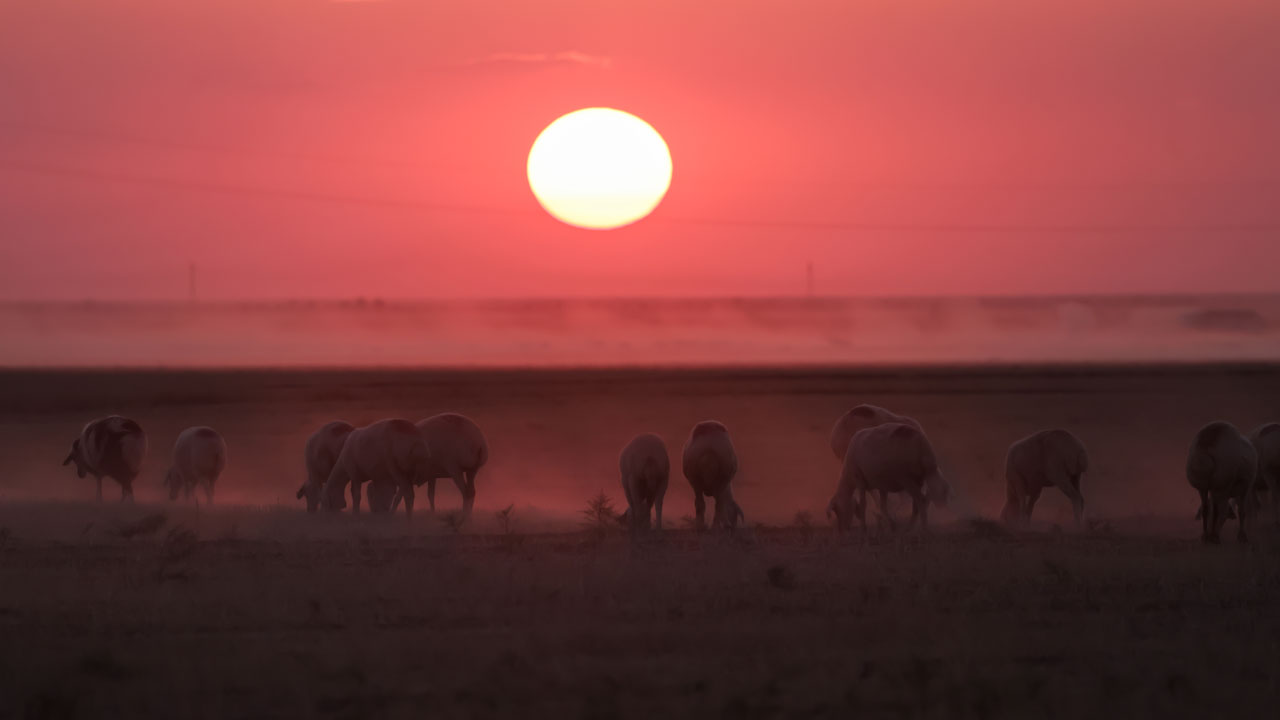 Foto - Türkiye’nin beyaz ve pembe harikası! Tuz Gölü’nde görsel şölen başladı
