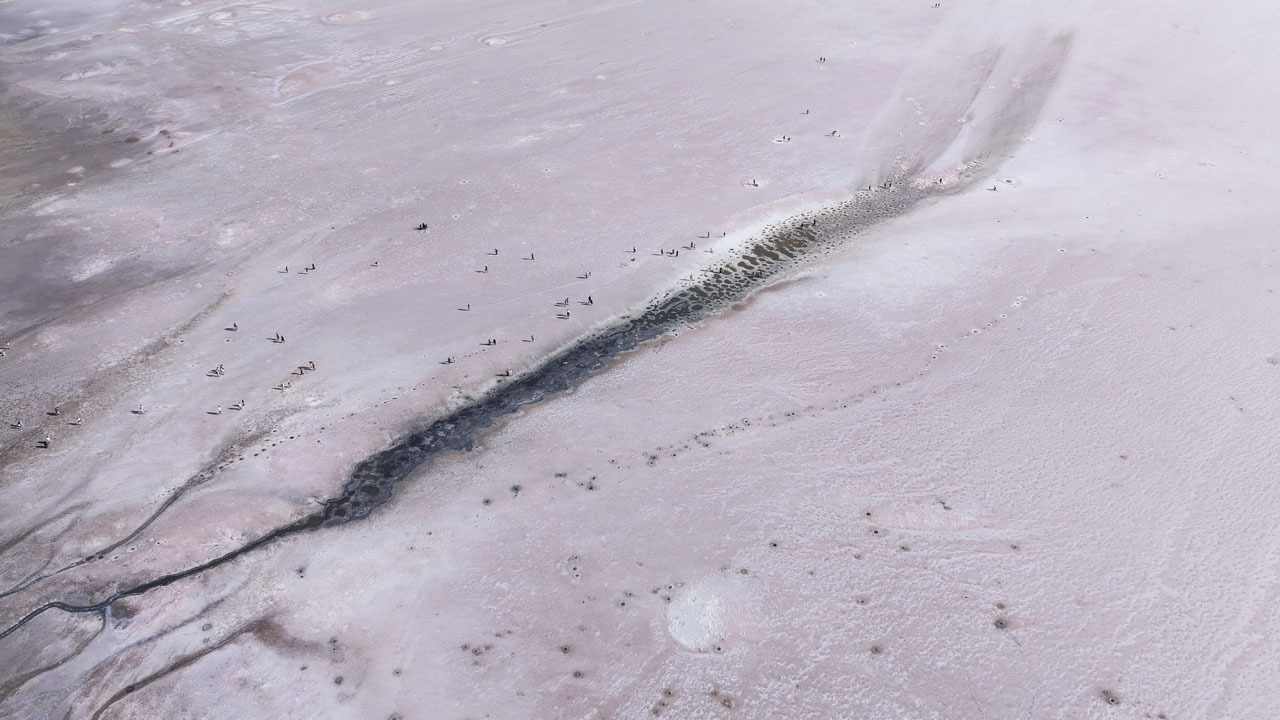 Foto - Türkiye’nin beyaz ve pembe harikası! Tuz Gölü’nde görsel şölen başladı