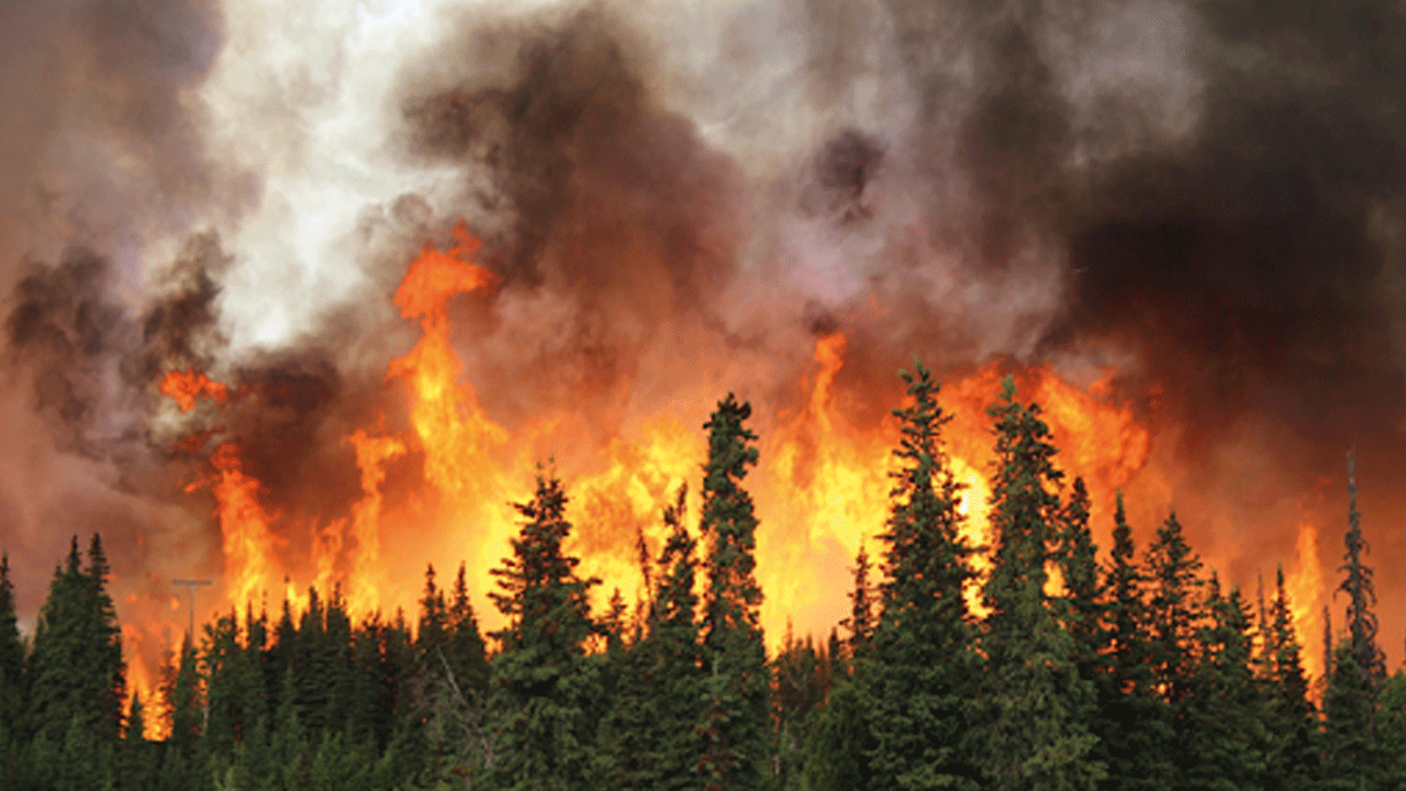 Foto - Türkiye'nin büyük kabusu! Son 1 haftada 576 orman yangını 