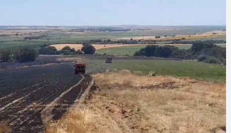 Türkiye'nin çok kritik tarım kaynaklarındandı! Kötü haber maalesef geldi