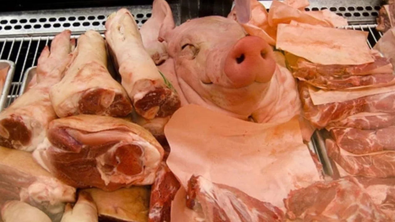 Foto - Türkiye'nin domuz eti ihracatı maalesef füze gibi fırladı: Tamamı o ülkeye satıldı