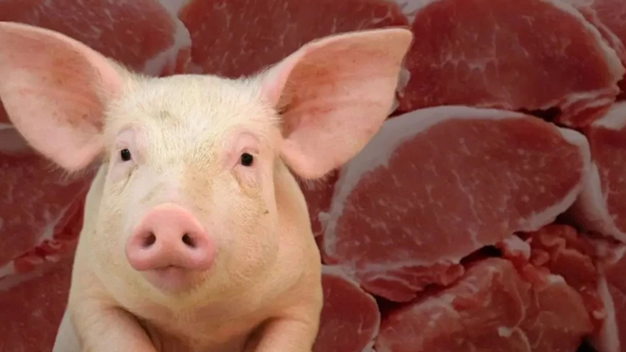 Türkiye'nin domuz eti ihracatı maalesef füze gibi fırladı: Tamamı o ülkeye satıldı