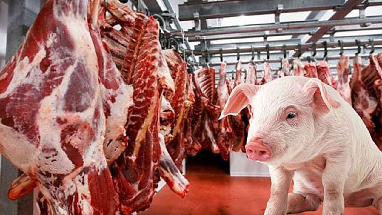 Foto - Türkiye'nin domuz eti ihracatı maalesef füze gibi fırladı: Tamamı o ülkeye satıldı