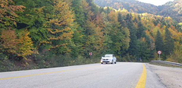Foto - Türkiye’nin en büyük blok ormanları! Karabük’te doyumsuz görüntüler