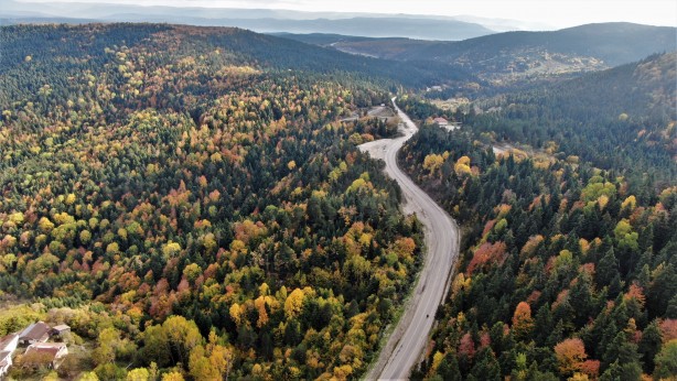 Türkiye’nin en büyük blok ormanları! Karabük’te doyumsuz görüntüler