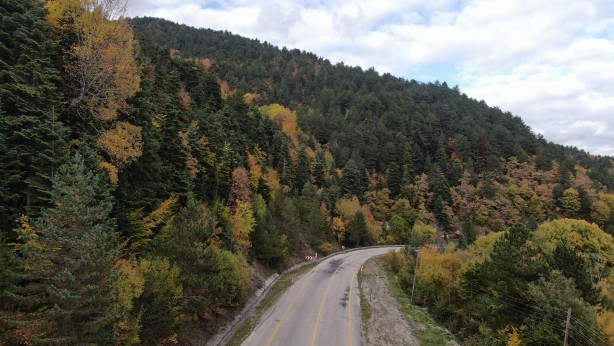 Foto - Türkiye’nin en büyük blok ormanları! Karabük’te doyumsuz görüntüler