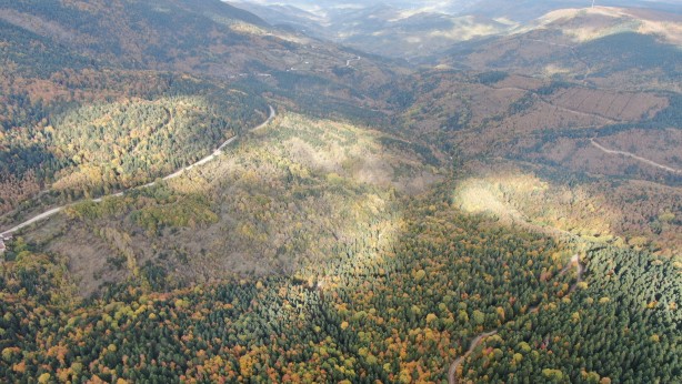 Foto - Türkiye’nin en büyük blok ormanları! Karabük’te doyumsuz görüntüler