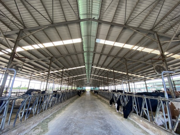 Foto - Türkiye'nin en büyük süt çiftliklerinden birisi satıldı