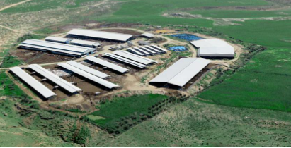 Foto - Türkiye'nin en büyük süt çiftliklerinden birisi satıldı