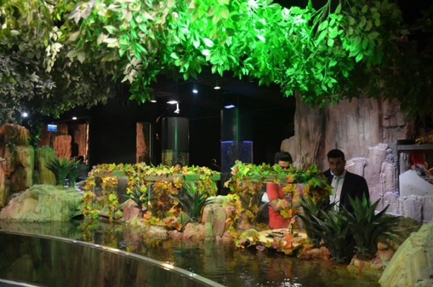 Türkiye’nin en büyük timsahı Üsküdar’da