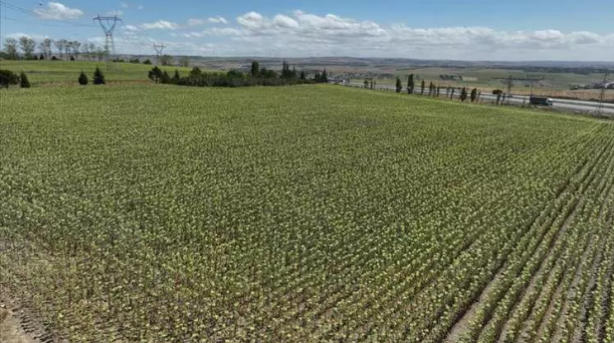 Foto - Türkiye'nin en çok para kazananlar bu ilde oturuyor