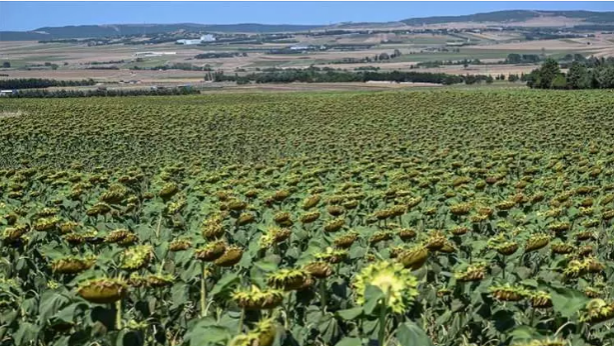Foto - Türkiye'nin en çok para kazananlar bu ilde oturuyor