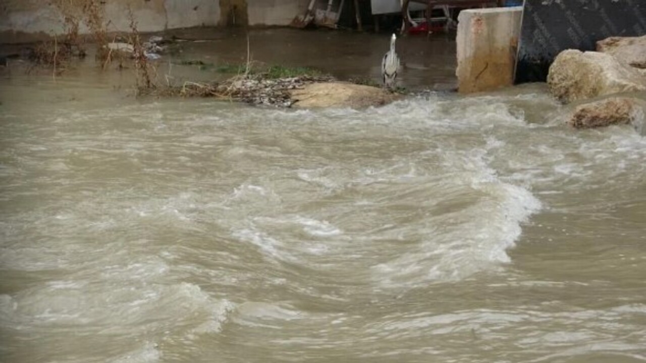 Foto - Türkiye’nin en hızlı akan nehri korkutuyor! Kar eridi su seviyesi iki katına çıktı