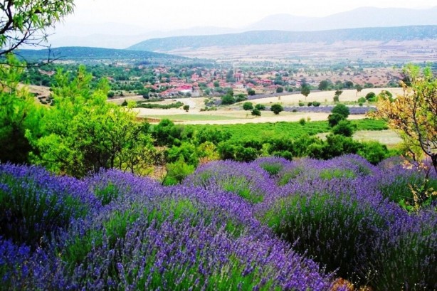 Foto - Türkiye'nin en mutlu şehirleri belli oldu! İlk sıradaki kenti duyunca çok şaşıracaksınız