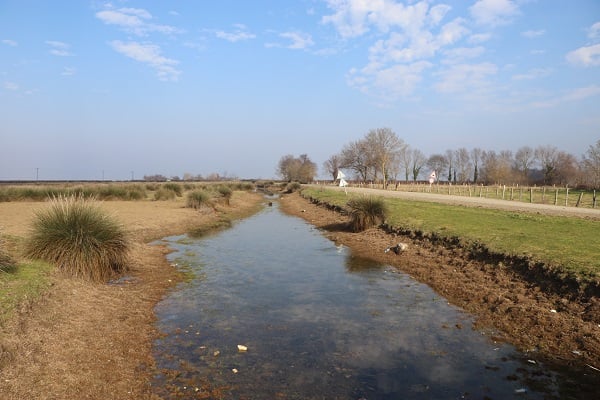 Foto - Türkiye'nin en önemli deltası bu hale geldi! Herkes şaşkın neler oluyor böyle?
