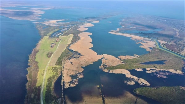 Foto - Türkiye'nin en önemli deltası bu hale geldi! Herkes şaşkın neler oluyor böyle?