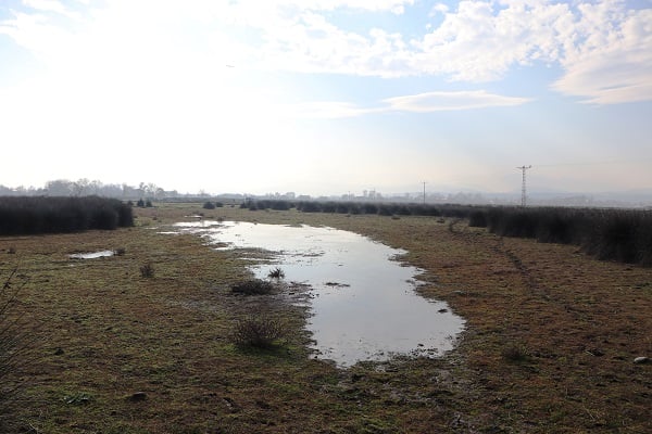 Foto - Türkiye'nin en önemli deltası bu hale geldi! Herkes şaşkın neler oluyor böyle?