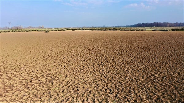 Türkiye'nin en önemli deltası bu hale geldi! Herkes şaşkın neler oluyor böyle?