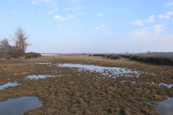 Foto - Türkiye'nin en önemli deltası bu hale geldi! Herkes şaşkın neler oluyor böyle?