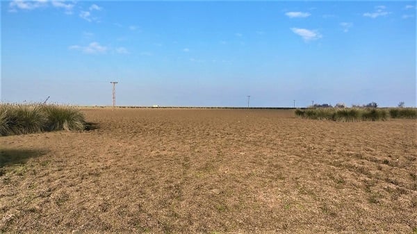 Foto - Türkiye'nin en önemli deltası bu hale geldi! Herkes şaşkın neler oluyor böyle?