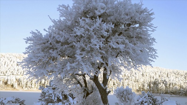 Foto - Türkiye’nin en soğuk 3 ili belli oldu! O ilimiz -11.3’ü gördü!