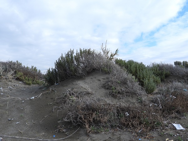 Foto - Türkiye'nin en uzun kumsalı! 