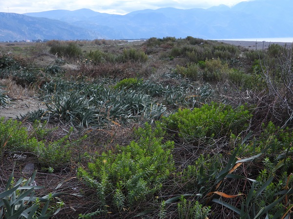 Foto - Türkiye'nin en uzun kumsalı! 