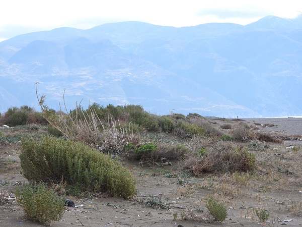 Foto - Türkiye'nin en uzun kumsalı! 