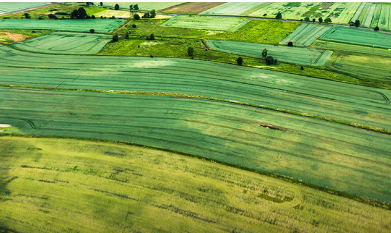 Türkiye'nin en verimli ovasında ülkeyi sarsacak gelişme! Çiftçiye 'ekim yapmayın' mesajı gönderildi